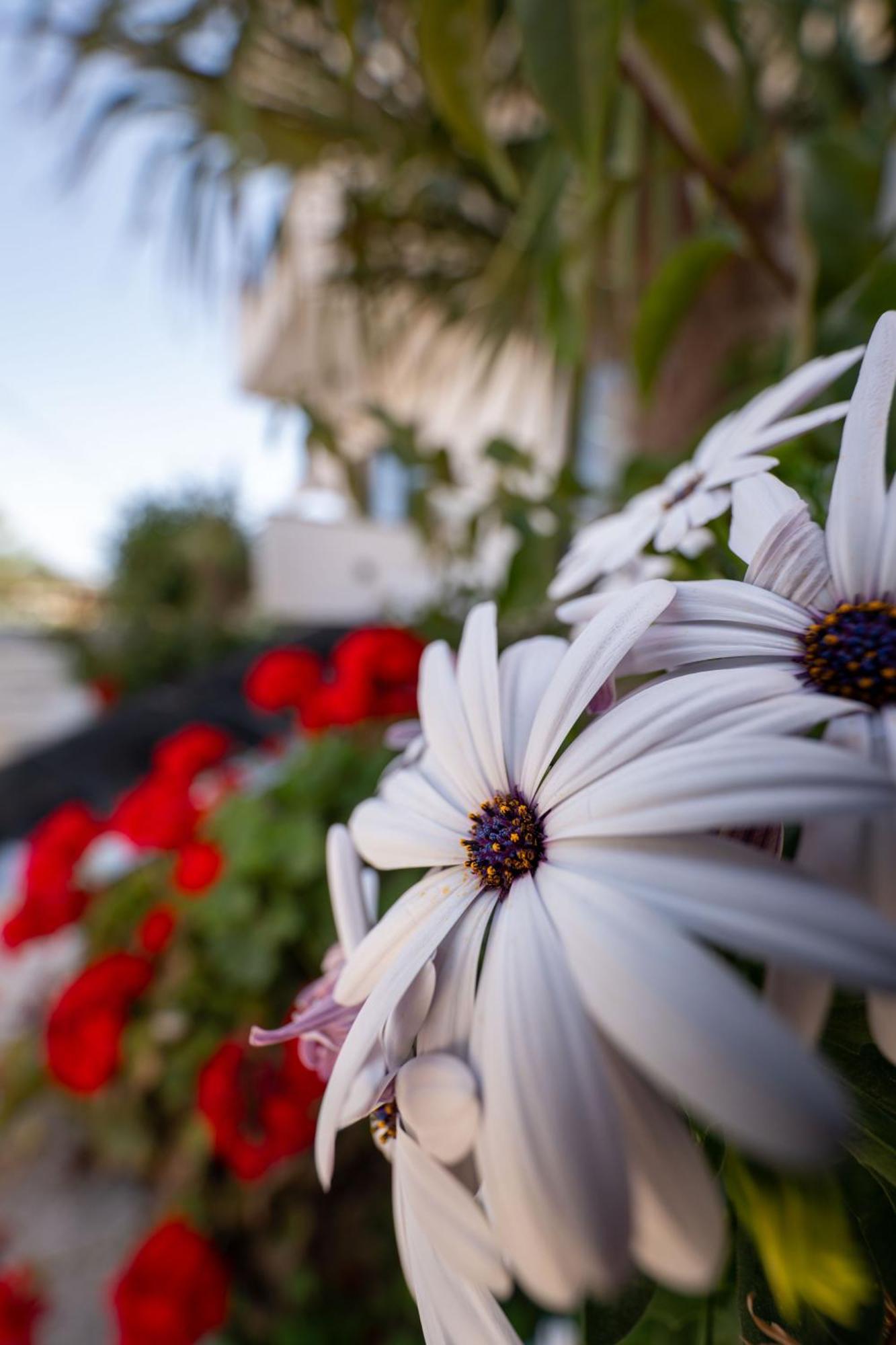 Guesthouse Siars Ksamil Kültér fotó